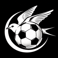 雨燕足球官方Logo - 免费高清足球直播平台